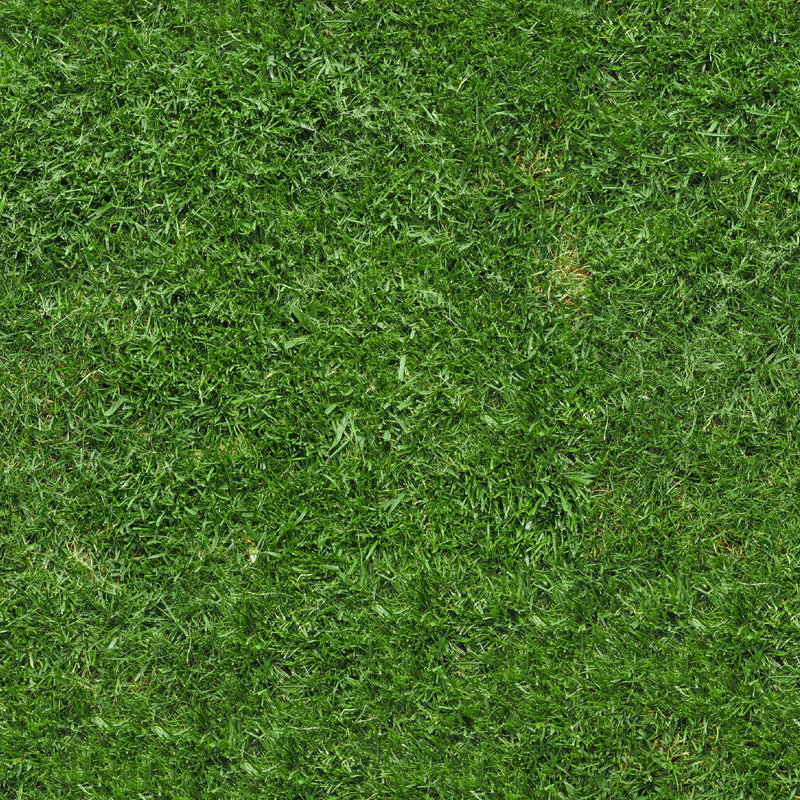Grass UV Printed Acrylic Sheet