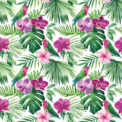 Jungle Parrots UV Printed Acrylic Sheet